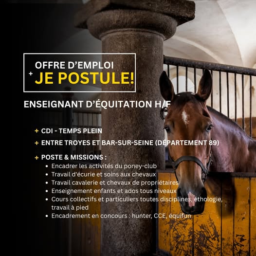 Offre d'emplois :  ENSEIGNANT D’ÉQUITATION H/F