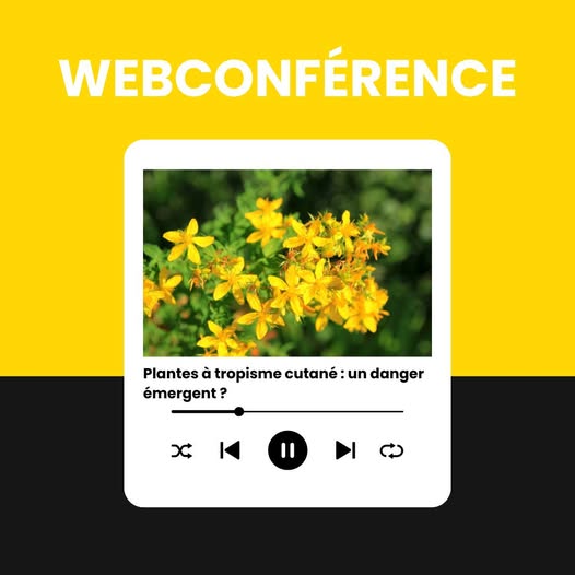 Webconférence : Les plantes toxiques pour les équidés