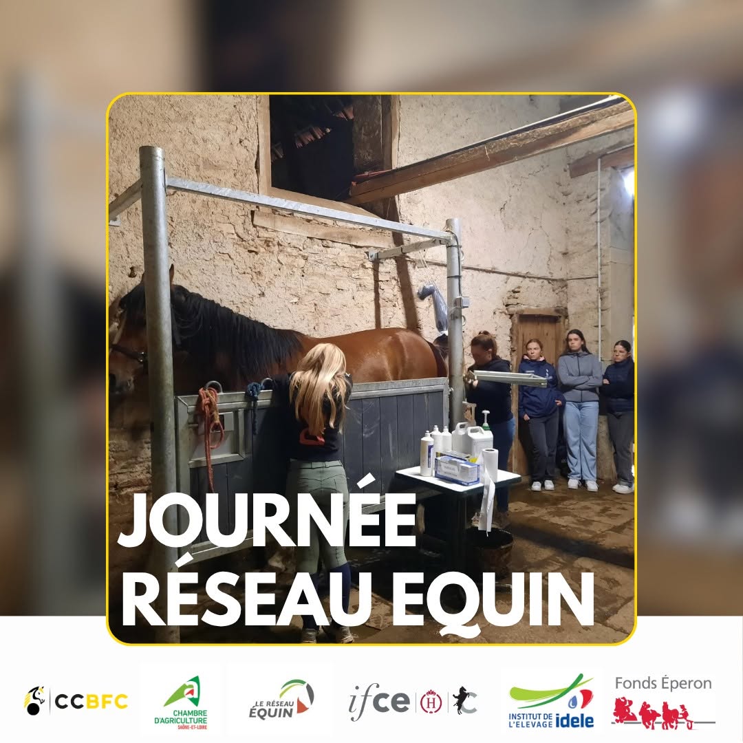Journée Réseau Equin