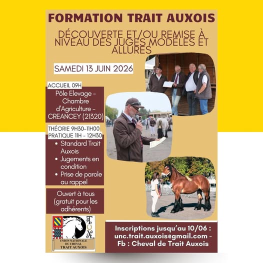 Formation juge modèles et allures Trait Auxois