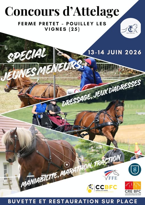 Concours d'attelage (25)