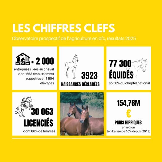 Chiffres clefs : un aperçu de la filière régionale