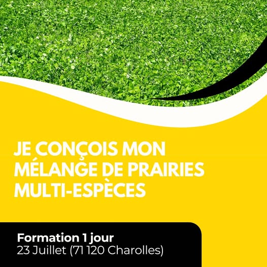 FORMATION : JE CONÇOIS MON MÉLANGE DE PRAIRIES MULTI-ESPÈCES