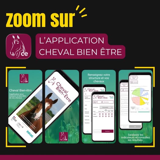 Connaissez-vous l'application Cheval Bien-être développée par l'IFCE ?