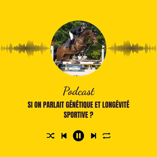 Comment produire des chevaux robustes, capables d’une longue carrière sportive tout en répondant aux enjeux de bien-être animal ?