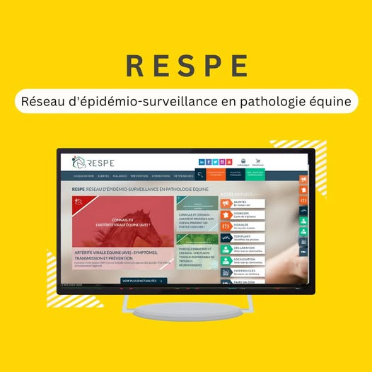 Connaissez vous le RESPE ?