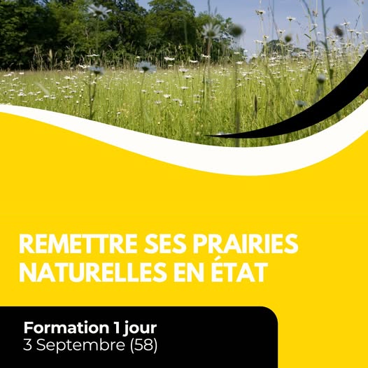 Vos prairies naturelles sont dégradées suite à la sécheresse ? un dégât de gibier ? du surpâturage  ?
