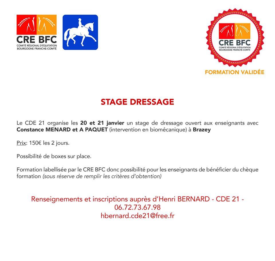 Stage Dressage à Brazey en Plaine (21)