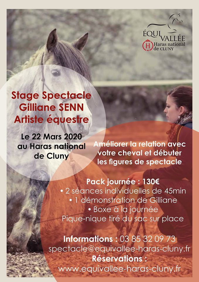 Stage Spectacle avec Gilliane Senn à Cluny