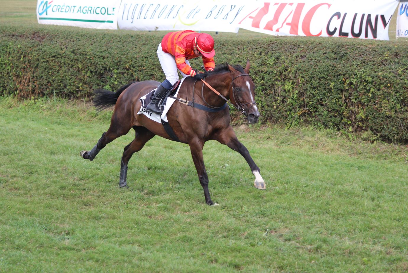 Stage d'initiation aux courses de poneys