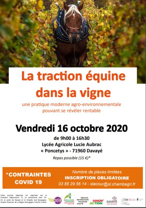 La traction équine en viticulture