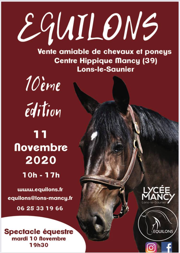 ANNULE Vente amiable de chevaux et poneys EQUILONS