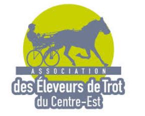 VENTES DE TROTTEURS AETCE