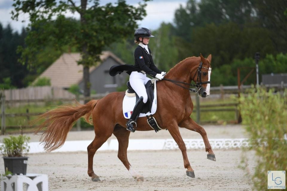 Stage Dressage avec Bruno LOSTRIA