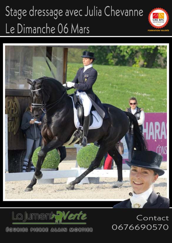 Stage de Dressage avec Julia CHEVANNE