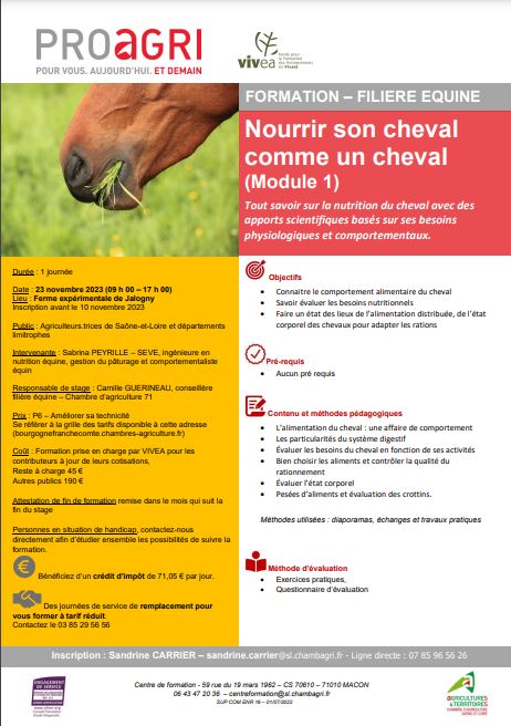 Formation : Nourrir mon cheval comme un cheval, module 1 avec Sabrina PEYRILLE (71)