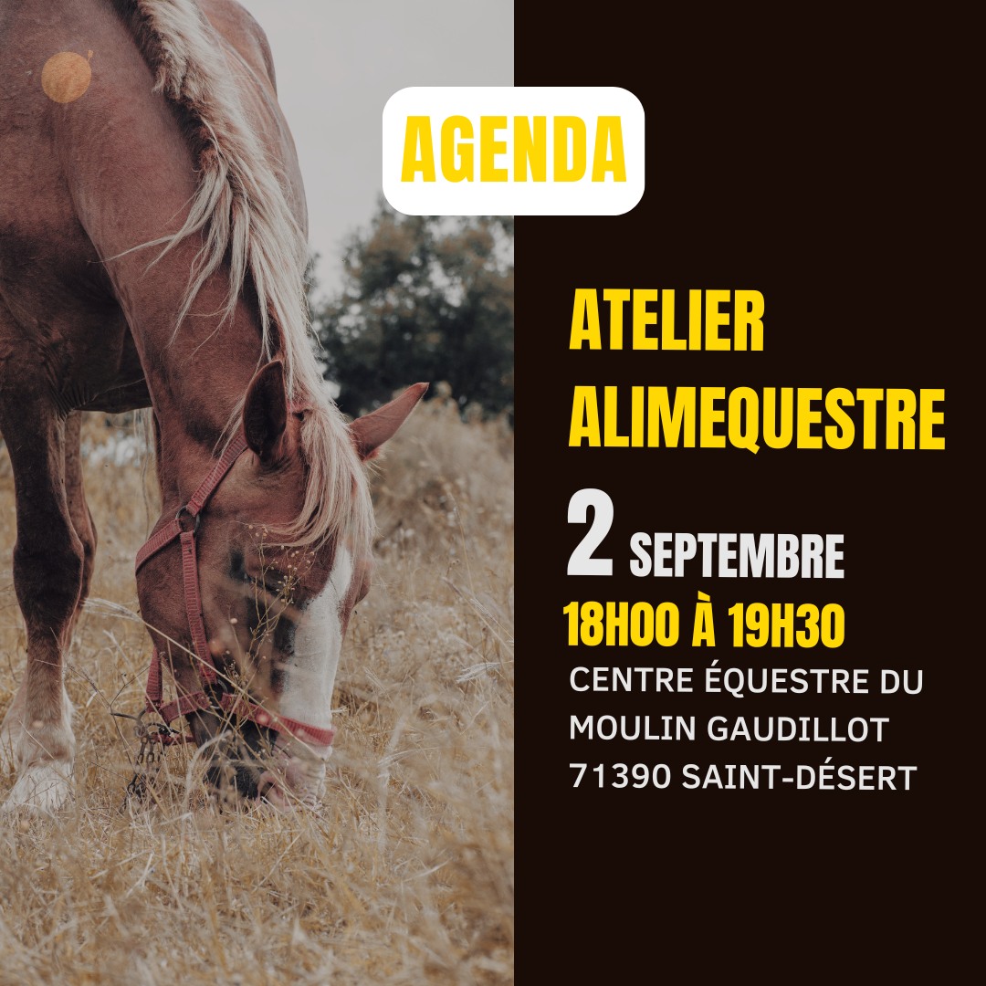 Ateliers Alim'Equestre (71)