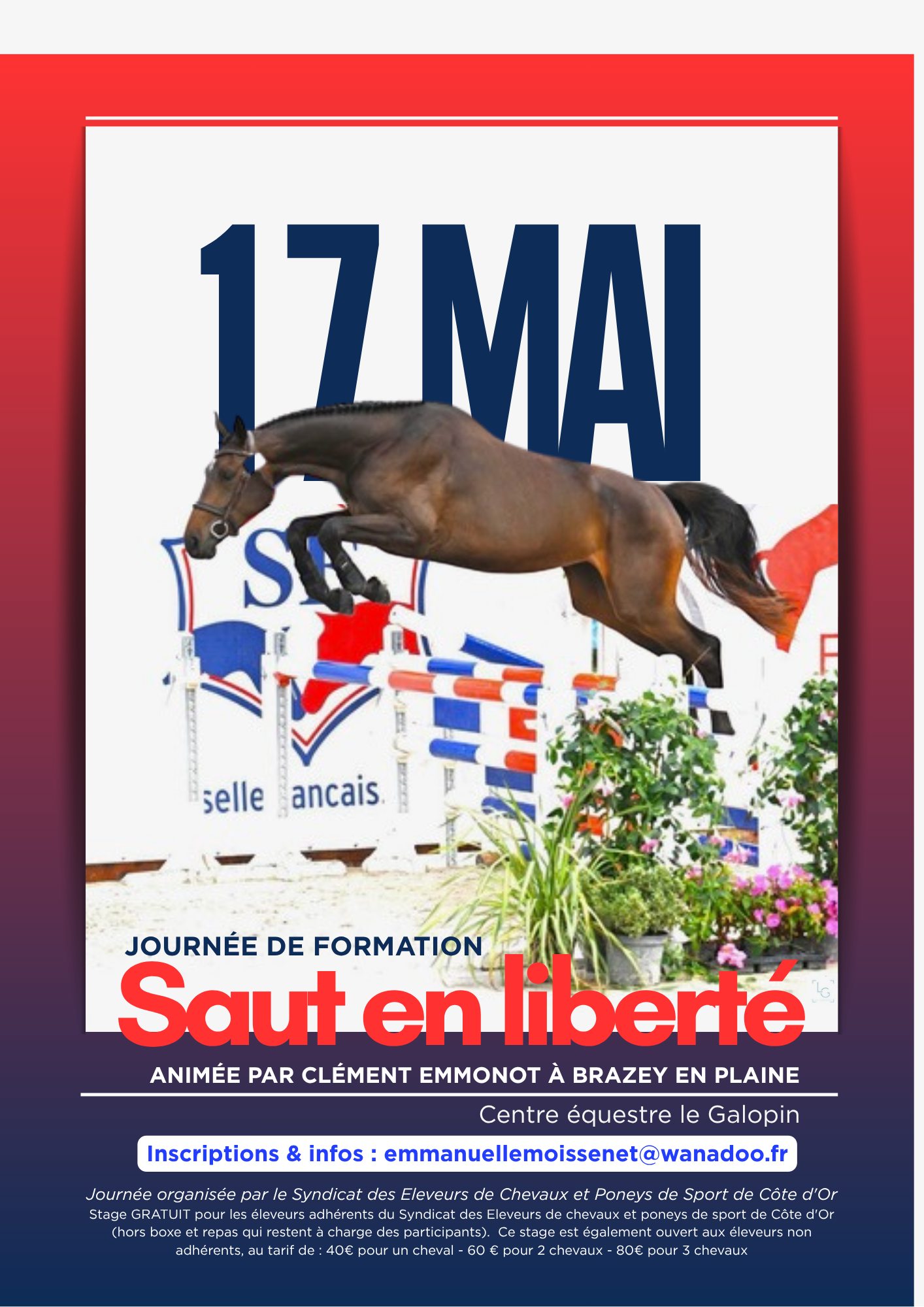 Stage saut en liberté animé par Clément Emmonot (21)