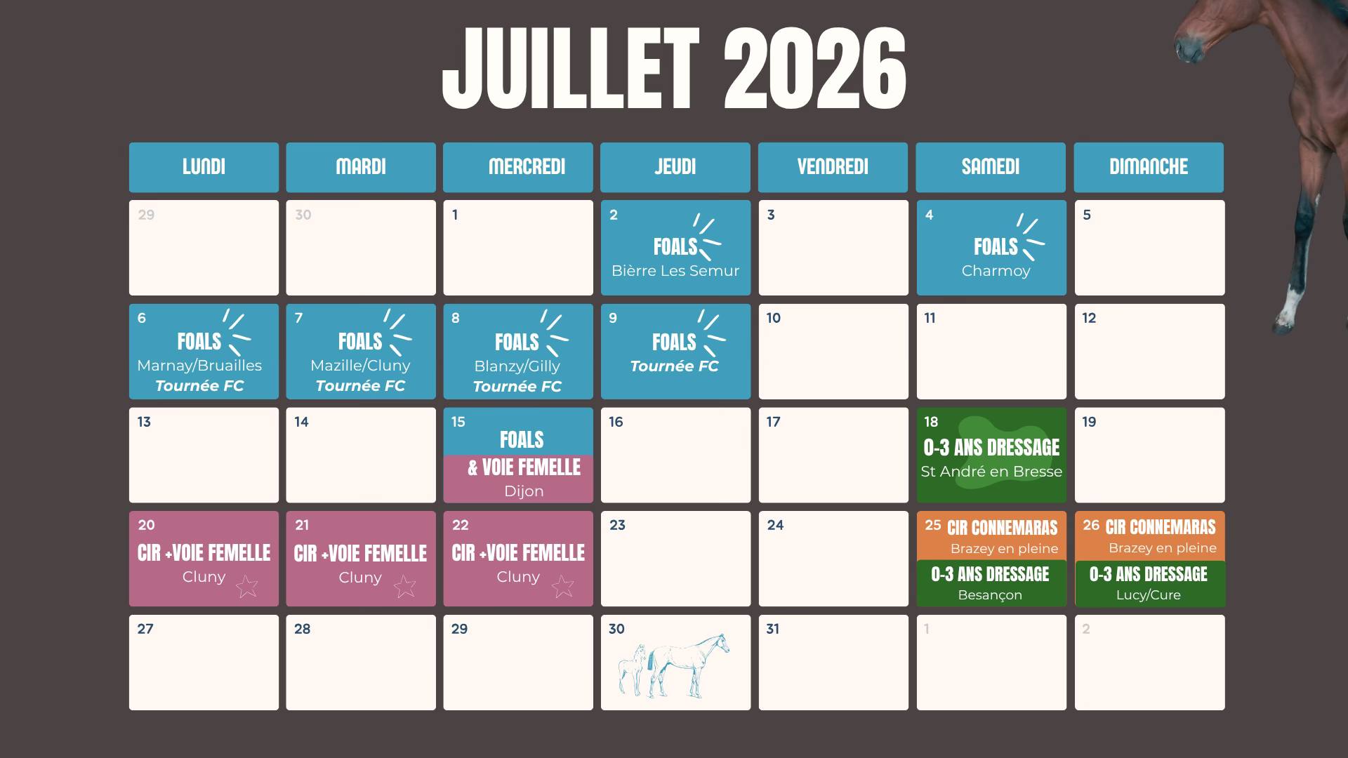 Concours foals à Blanzy et Gilly sur Loire (71)