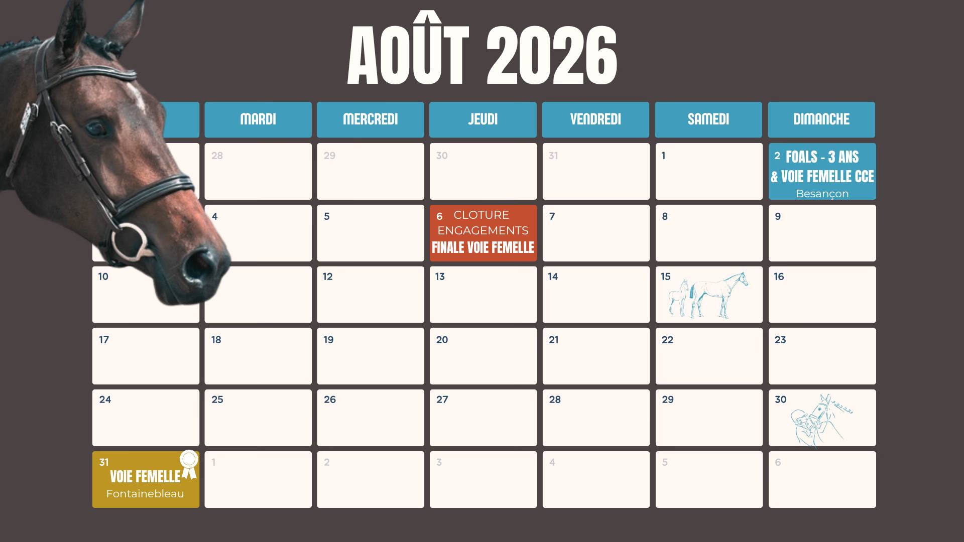 Régional foals, voie femelle et 3 ans CCE - Besançon (25)