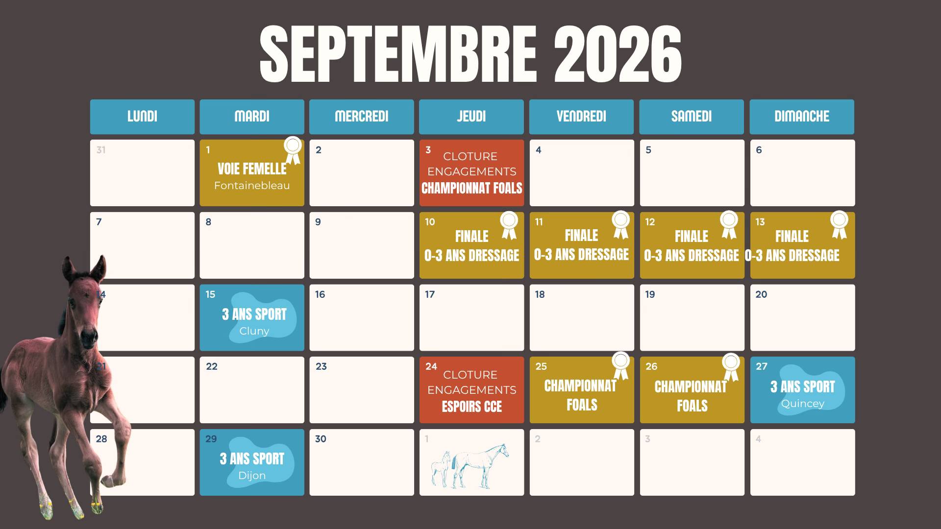 Automnales de l'élevage sport : étape 2 QUINCEY (70)