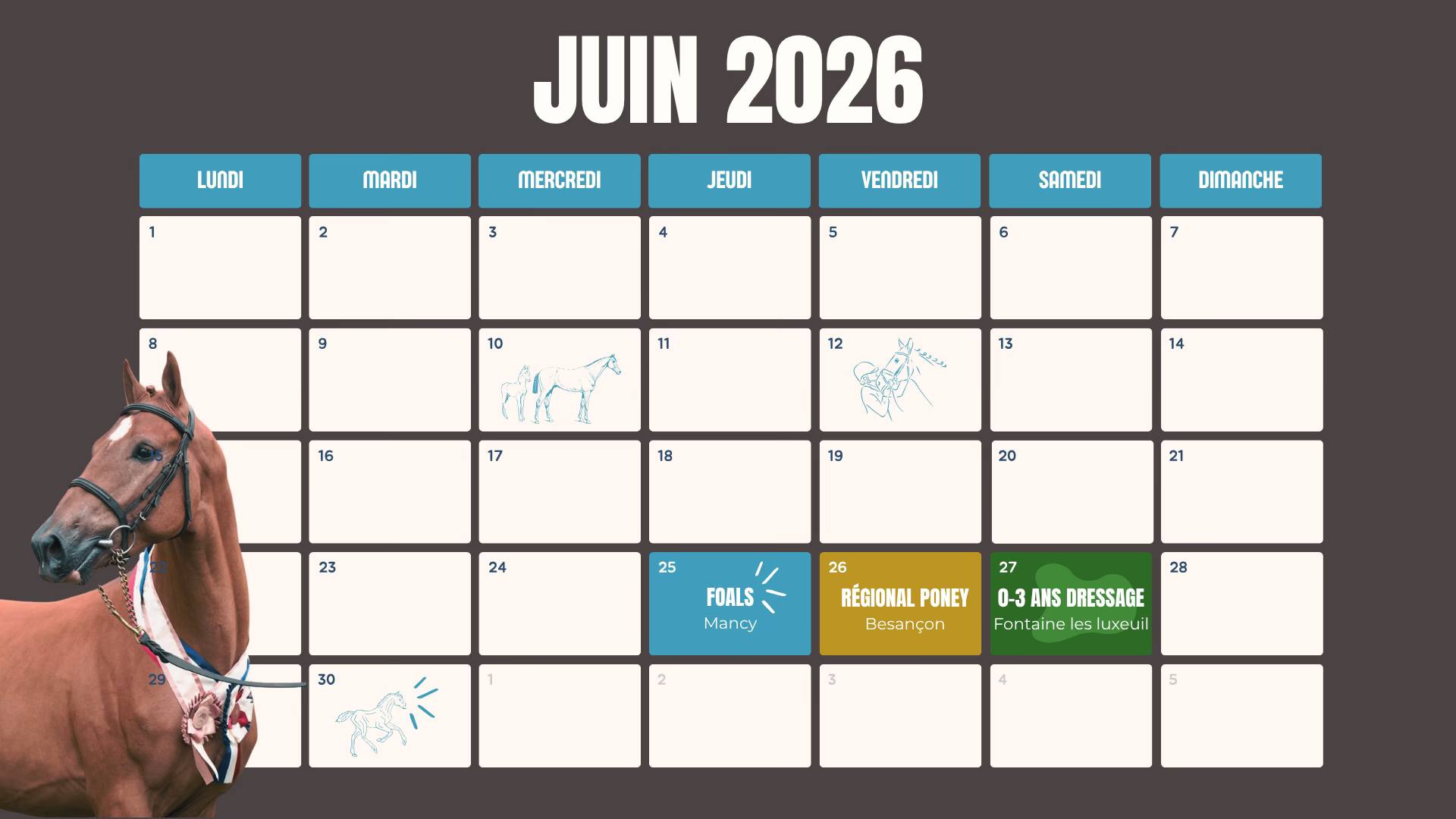 Régional Poneys à Besançon