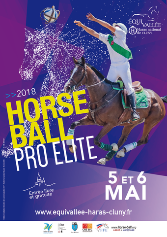 Etapes des championnats de France de Horse Ball à Cluny
