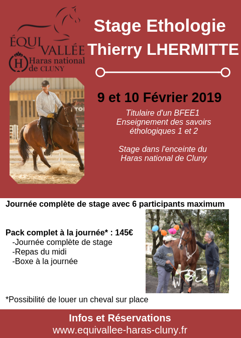 Stage éthologie avec Thierry Lhermitte à Cluny (71)