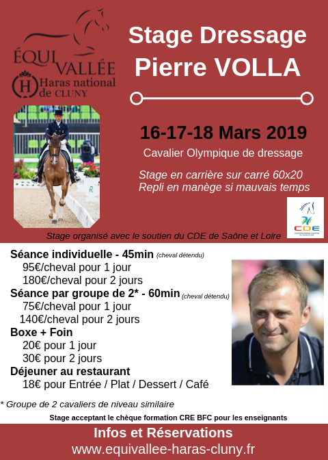 Stage dressage avec Pierre Volla à Cluny (71)