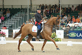 STAGE DE DRESSAGE HUBERT PERRING à CHAMPAGNOLE (39)