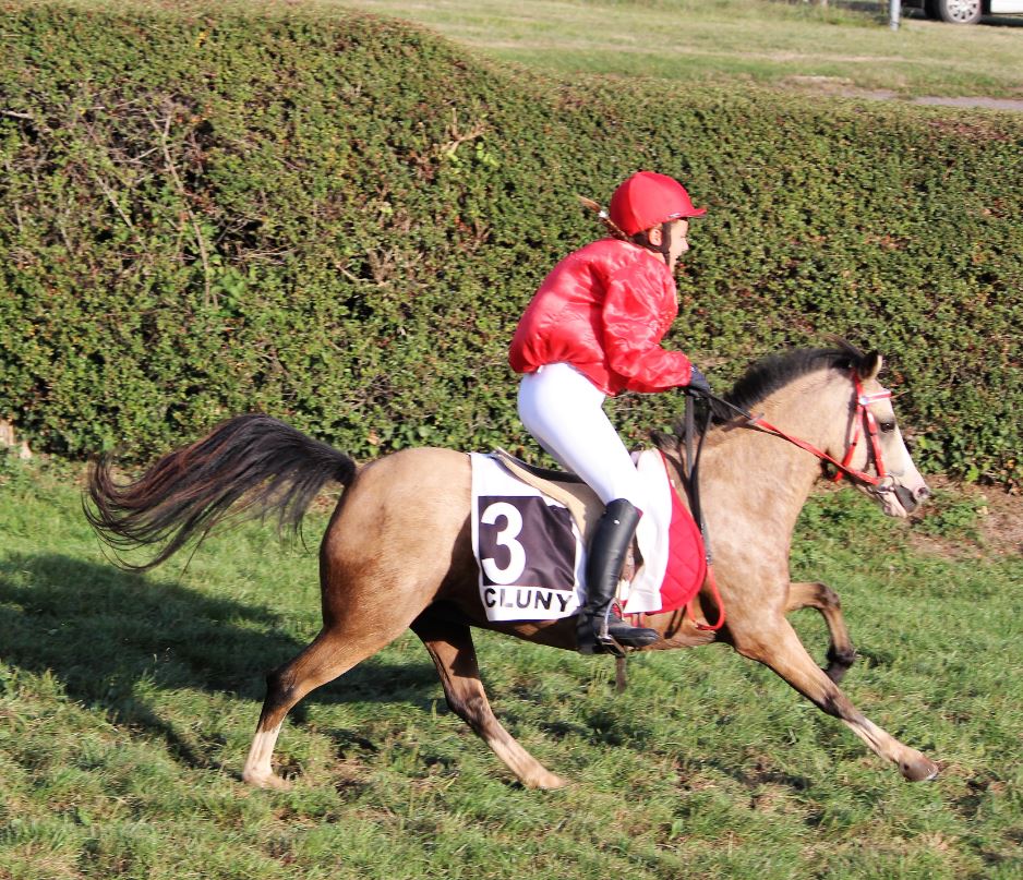 Stage d'initiation aux courses de poneys à l'Hôpital le Mercier (71)