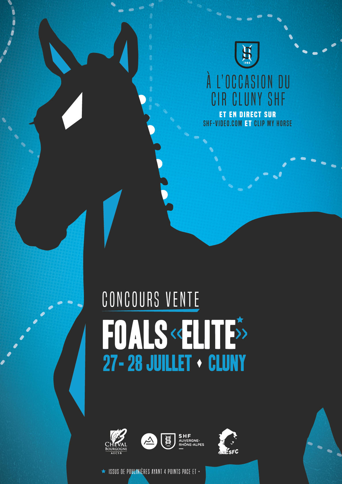 Concours vente foals élite