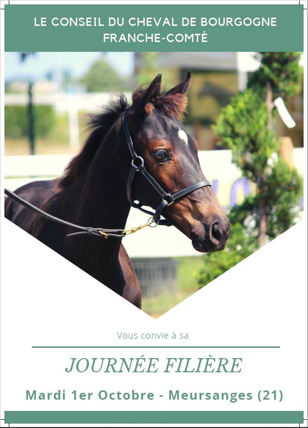 JOURNEE FILIERE